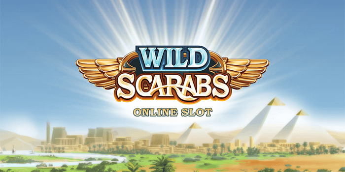 wild scarabs banner
